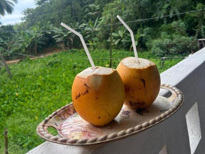 Sandaru Holiday Resort Weligama Bagian luar foto